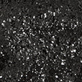 Yumi Black Sequin High Neck Top - Image 6
