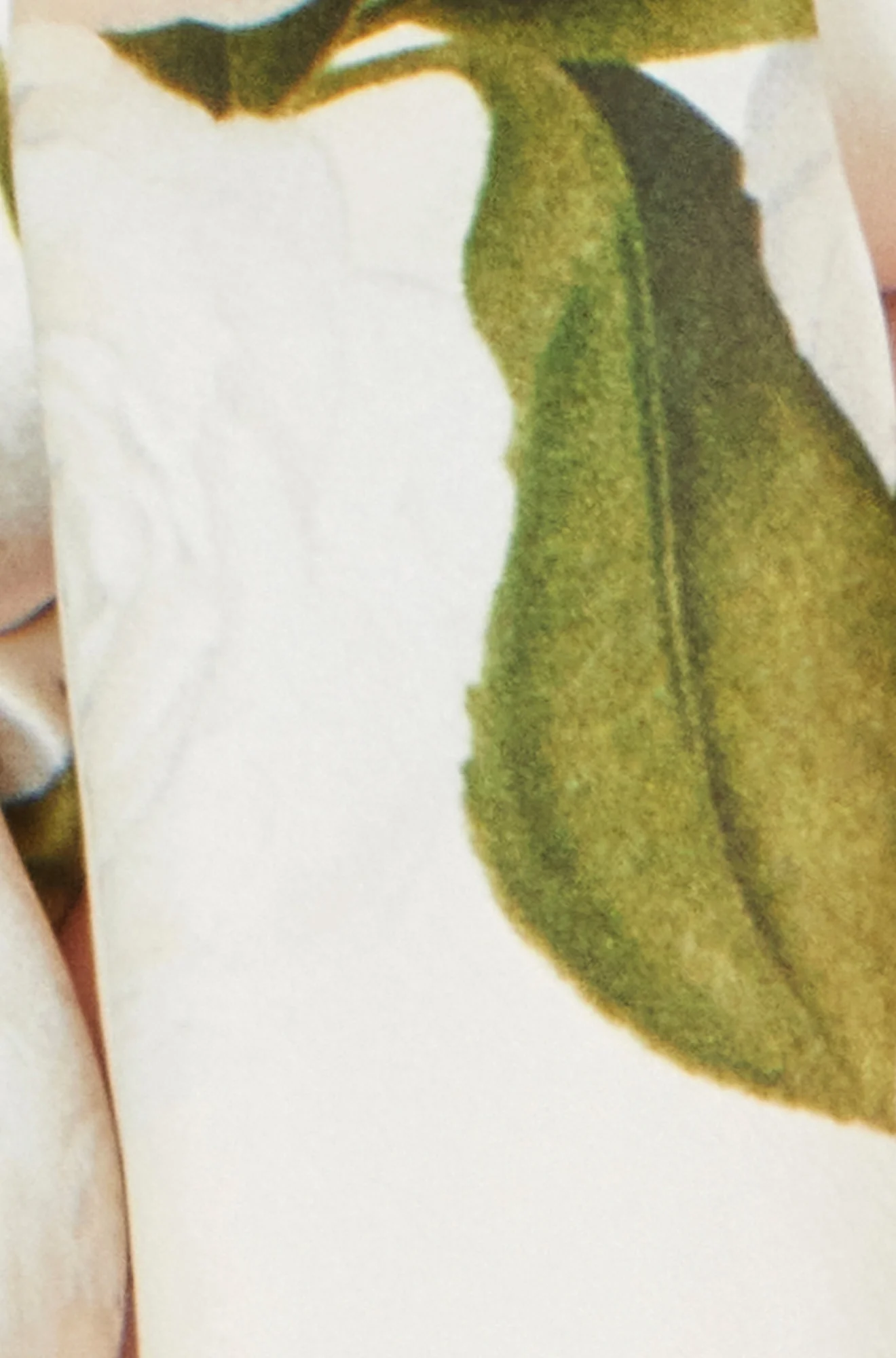 Yumi Ivory100% Silk Botanical Rose Print Scarf - Image 3